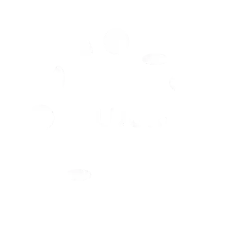 Peluuri